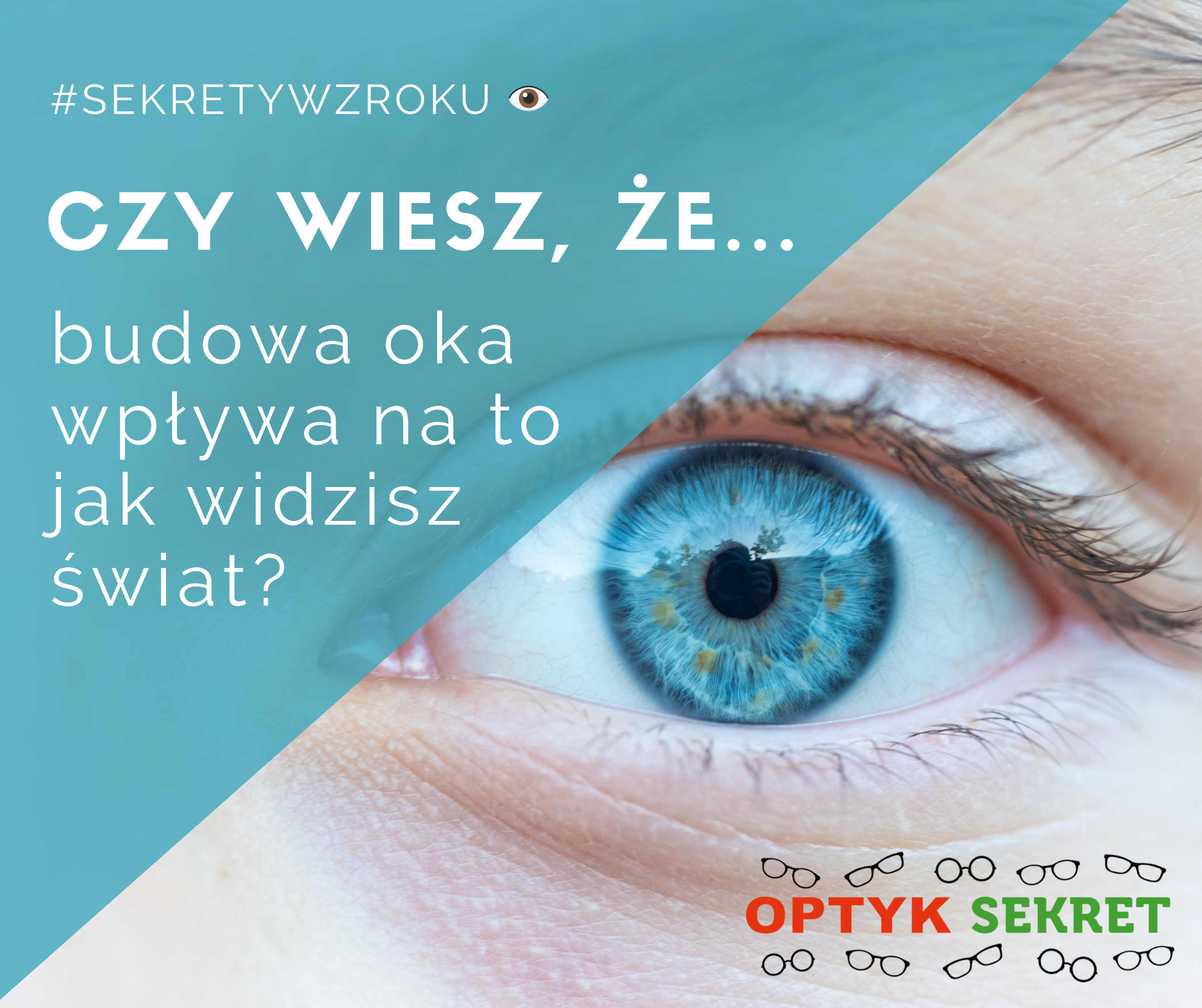 Sekrety Wzroku - Czy wiesz, że budowa oka wpływa na to, jak widzisz świat? 🌍