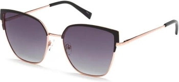 Polar Vision PV 10065 C