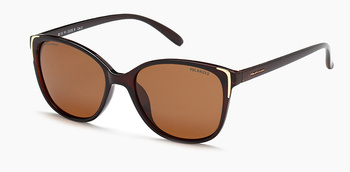 Polar Vision PV 20252 B
