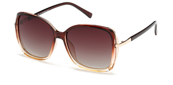 Polar Vision PV 20233 D