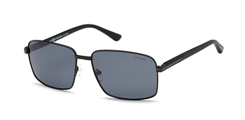 Polar Vision PV  10072 A