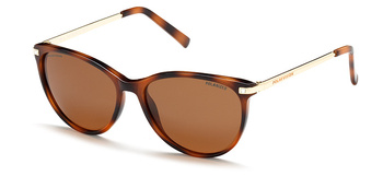 Polar Vision PV 20253 A