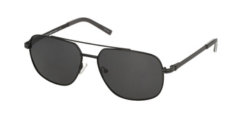 Polar Vision PV  10043 C
