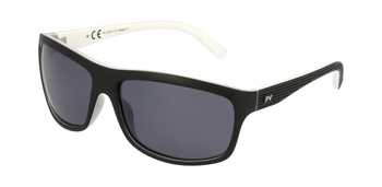 Polar Vision PV 20101 D