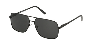 Polar Vision PV  10042 C