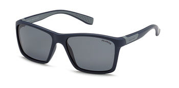 Polar Vision PV  20216 D