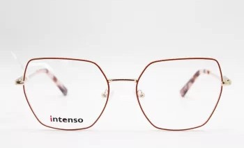 Intenso I33609 C2
