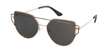 Polar Vision PV  10048 A