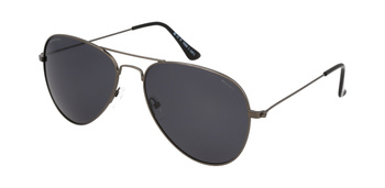 Polar Vision PV 10029 C
