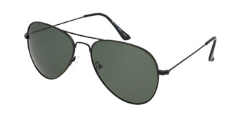 Polar Vision PV 10029 A