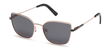 Polar  Vision PV 10062 A