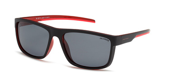 Polar Vision PV 20221 C