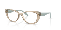 Vogue VO5455