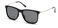 Polar  Vision PV 20239 B
