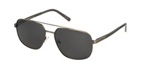 Polar Vision PV  10045 A