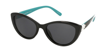Polar  Vision PV 20202 B