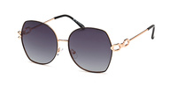 Polar Vision PV 10077 A