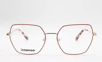 Intenso I33609 C2